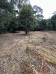 Propriedade em Jaciguá Vargem Alta com 3466 m² com Escritura